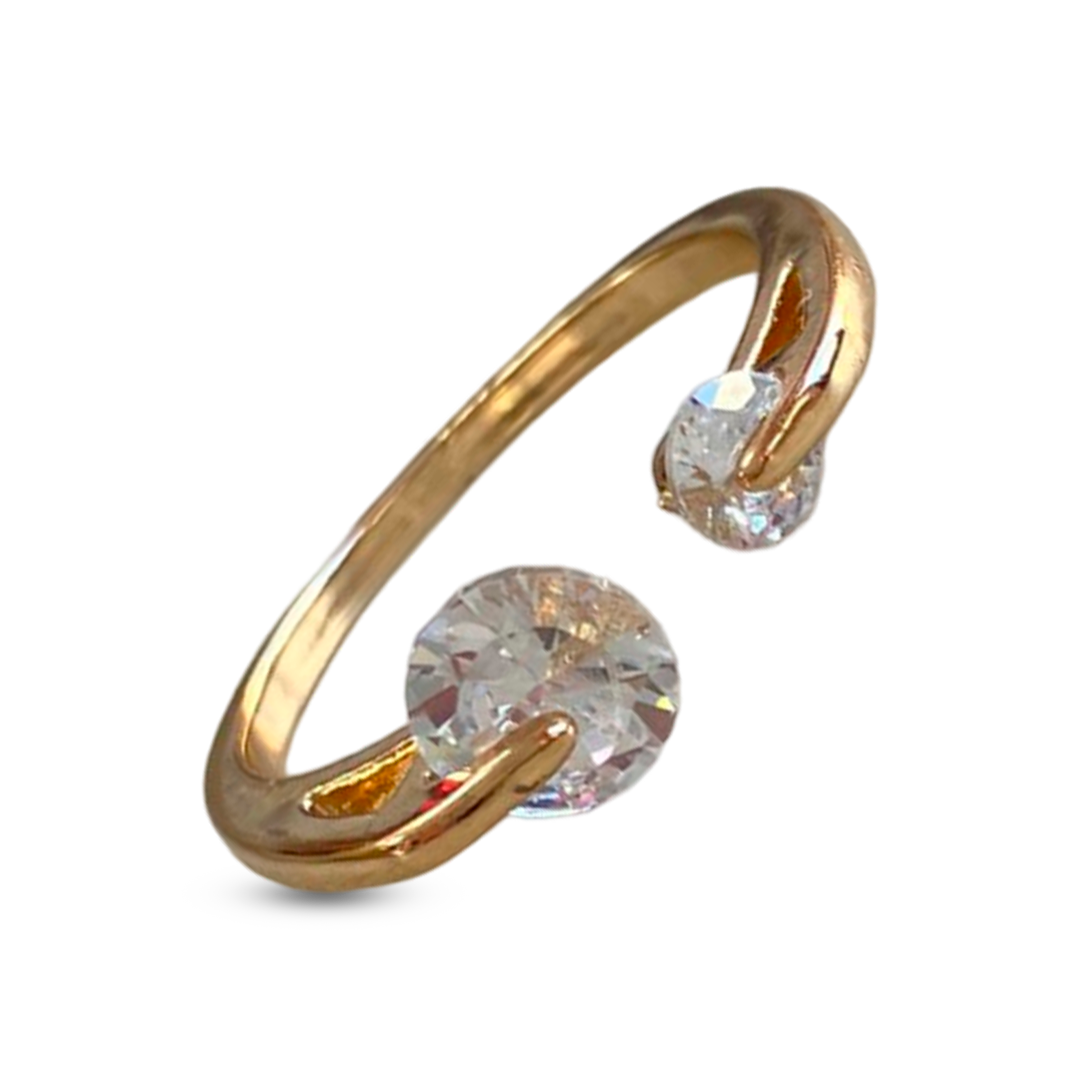 Stainless steel ring with two diamond design